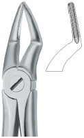 Tooth Ext Forceps