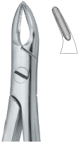 Tooth Ext Forceps