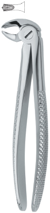 Tooth Ext Forceps