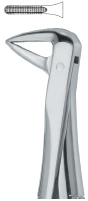 Tooth Ext Forceps