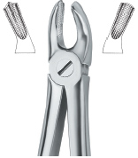 Tooth Ext Forceps