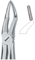 Tooth Ext Forceps