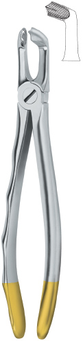 Tooth Ext Forceps