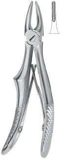 Tooth Ext Forceps